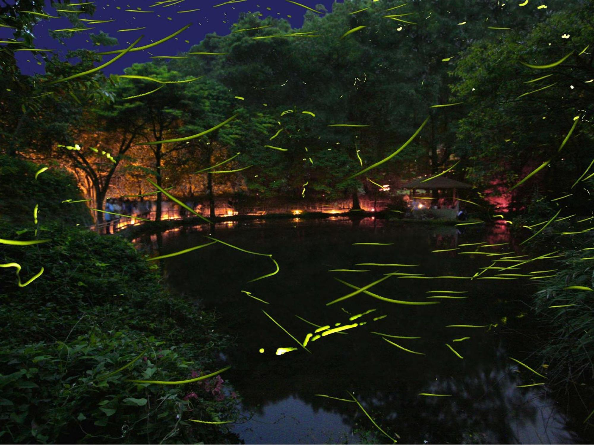 فندق Izu Katase Onsen Ayumitei Fukumatsuso هيغاشيزو المظهر الخارجي الصورة
